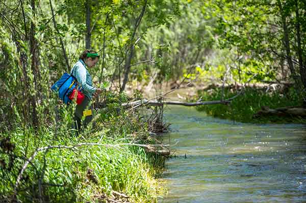 Denver Botanic Gardens - Chatfield Farms Restoration Area