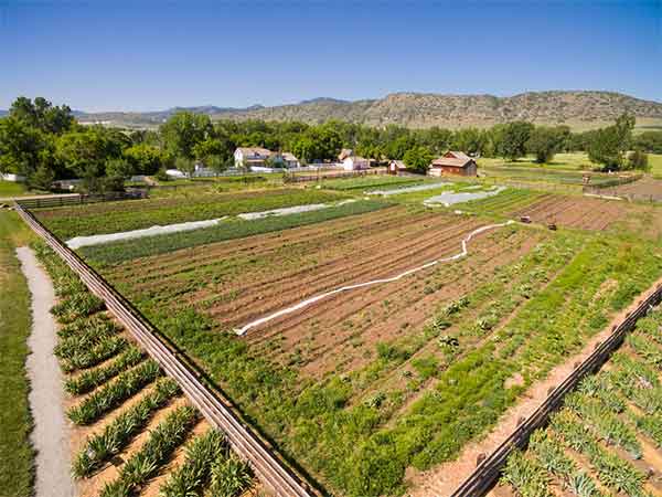 Denver Botanic Gardens - Chatfield Farms