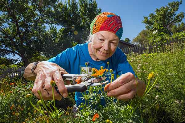Denver Botanic Gardens - Chatfield Farms Janice Ford Memorial Dye Garden