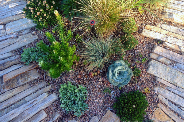 Denver Botanic Gardens - Steppe Garden