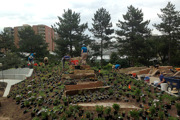 Denver Botanic Gardens - Steppe Garden