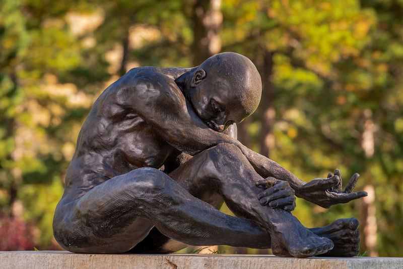 Denver Botanic Gardens - Human Nature - An Hour Before Dawn