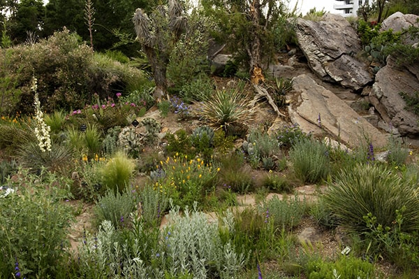 Denver Botanic Gardens
