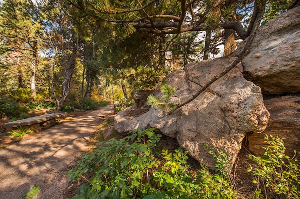 Denver Botanic Gardens
