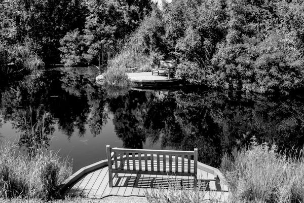 Denver Botanic Gardens Gates Montane